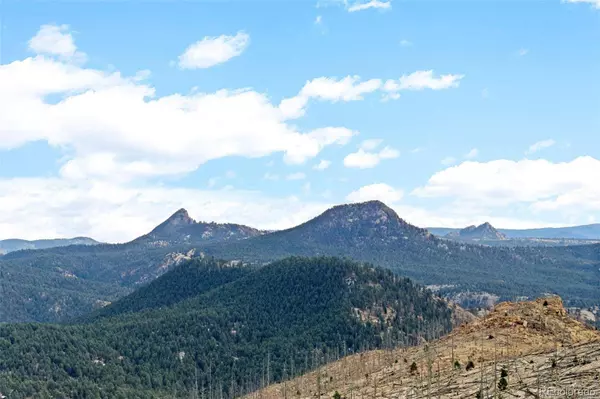 00 Quandary Peak TRL, Pine, CO 80470