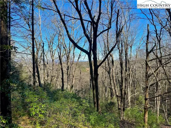 TBD George Hayes RD, Boone, NC 28607