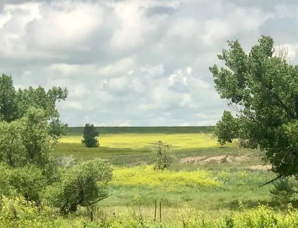 Einfeldt Road, West Butte, SD 57762