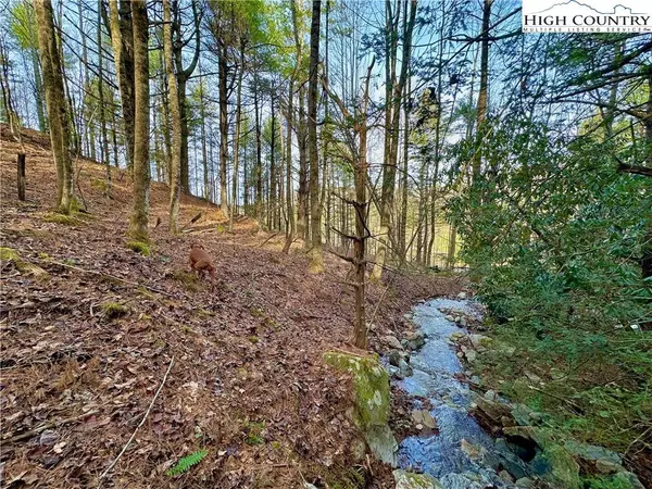 TBD George Hayes RD, Boone, NC 28607