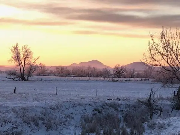 Einfeldt Road, West Butte, SD 57762