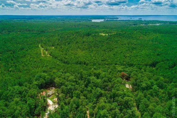 TBD Grey Fox LN, Brookeland, TX 75931