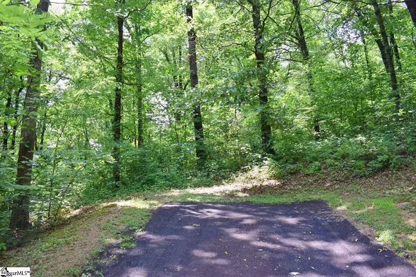 25 Day Lily Road, Landrum, SC 29356