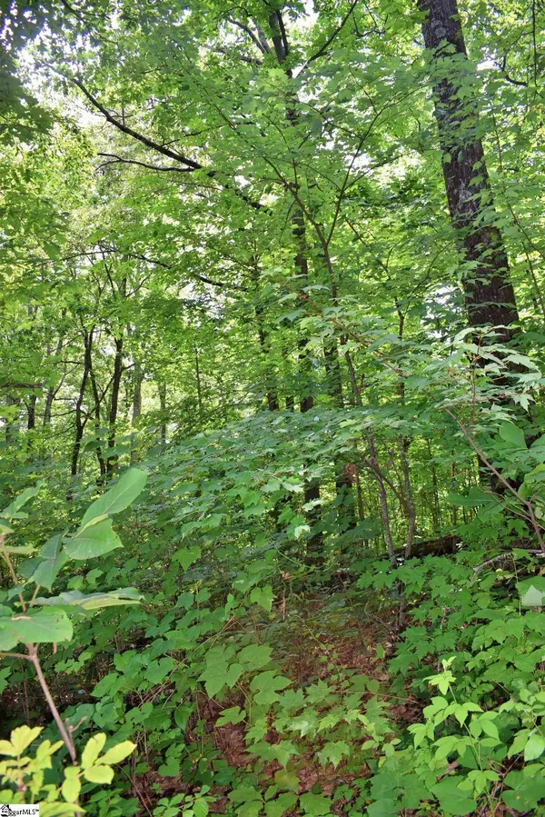 25 Day Lily Road, Landrum, SC 29356