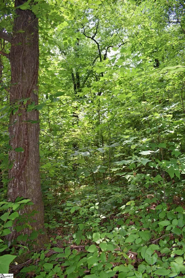 25 Day Lily Road, Landrum, SC 29356