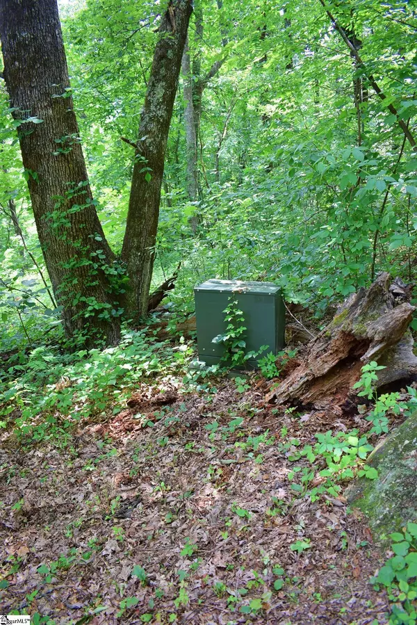 25 Day Lily Road, Landrum, SC 29356