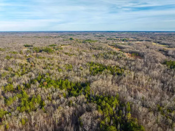 4450 ARMOUR DR, Somerville, TN 38068