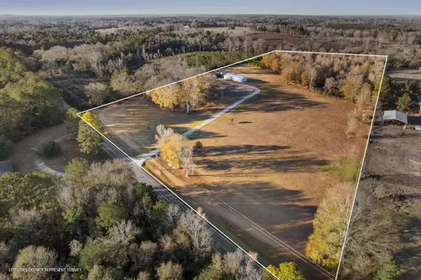 280 Rainey Rd., Moselle, MS 39459