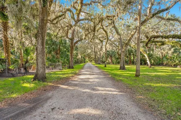 529 TABATHA DR, Osteen, FL 32764