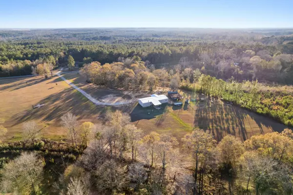 280 Rainey Rd., Moselle, MS 39459