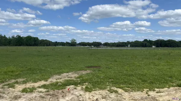 11080 Cessna St, Gonzales, LA 70737