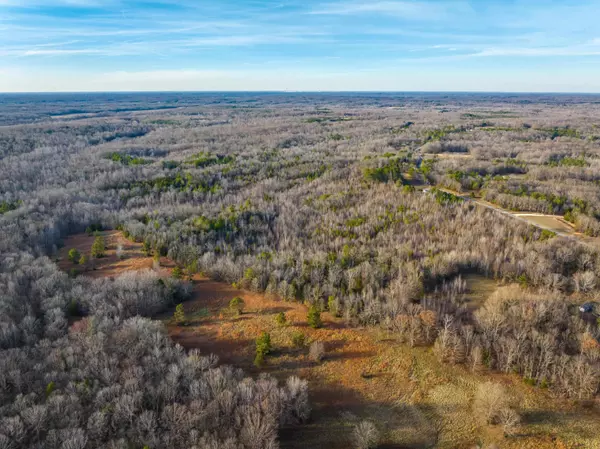 4450 ARMOUR DR, Somerville, TN 38068