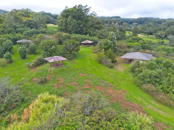 44-3342 KULA KAHIKO RD, Honokaa, HI 96727