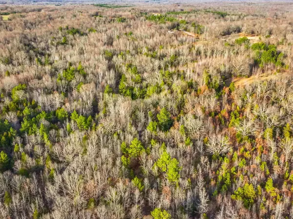 4450 ARMOUR DR, Somerville, TN 38068