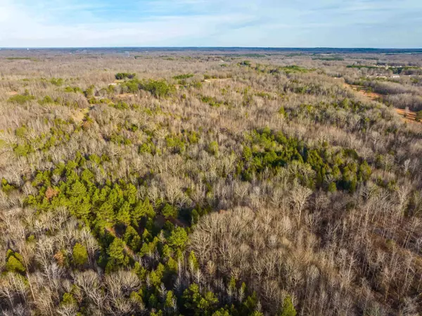 4450 ARMOUR DR, Somerville, TN 38068