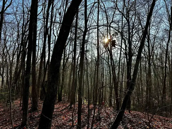 500 Scenic Vista Dr., Murphy, NC 28906