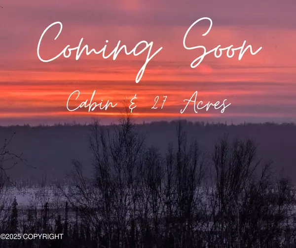 24224 W Parks HWY, Willow, AK 99688