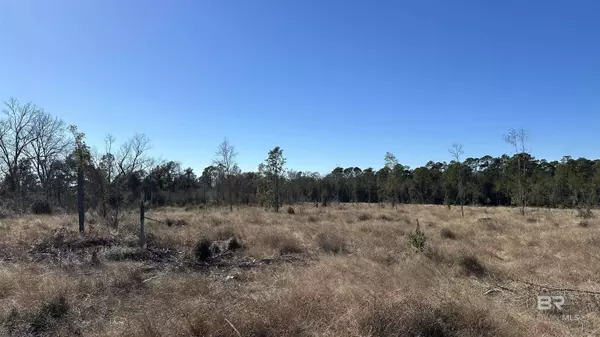 0 Resmondo Road, Summerdale, AL 36580