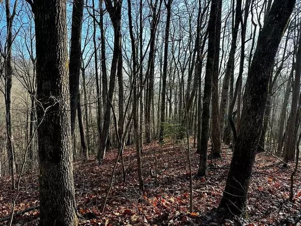 500 Scenic Vista Dr., Murphy, NC 28906