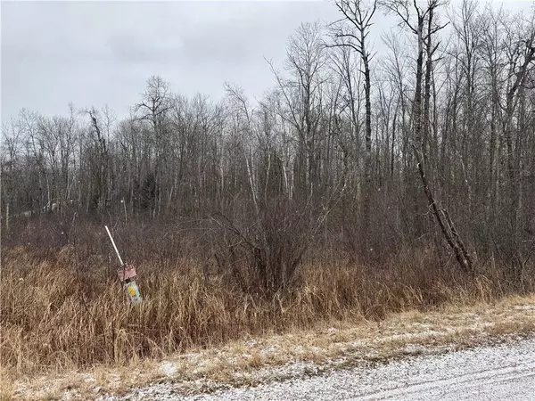 18 acres on Berhausen Road, Radisson, WI 54867