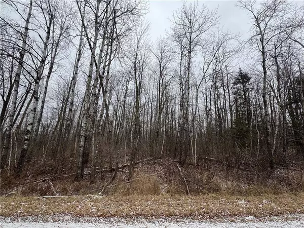 18 acres on Berhausen Road, Radisson, WI 54867