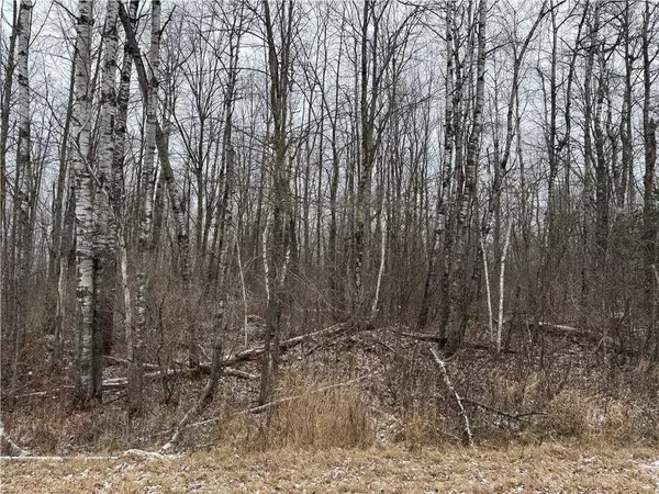 18 acres on Berhausen Road, Radisson, WI 54867