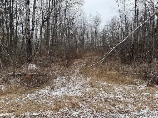 18 acres on Berhausen Road, Radisson, WI 54867