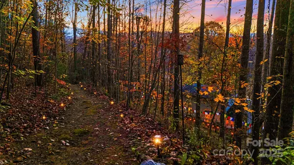 297 Beaverdam RD, Candler, NC 28715