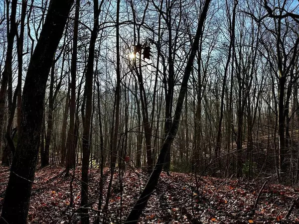 500 Scenic Vista Dr., Murphy, NC 28906