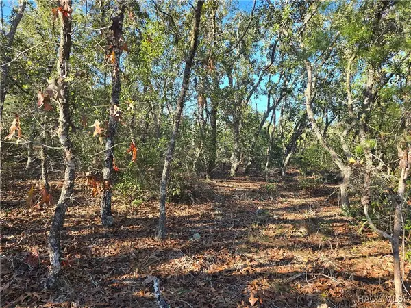 3489 W Eunice DR, Dunnellon, FL 34433