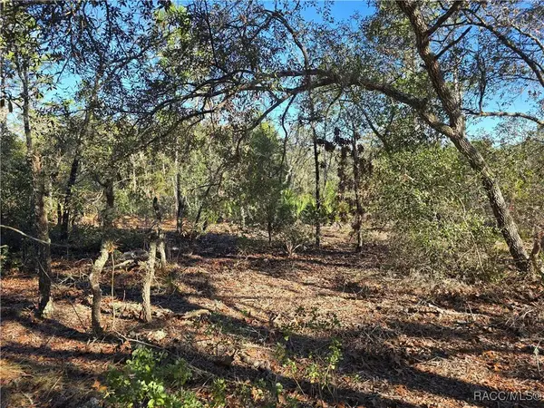 3489 W Eunice DR, Dunnellon, FL 34433