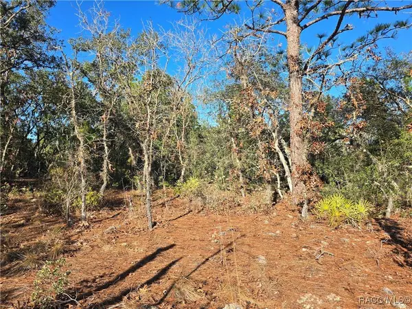 3489 W Eunice DR, Dunnellon, FL 34433