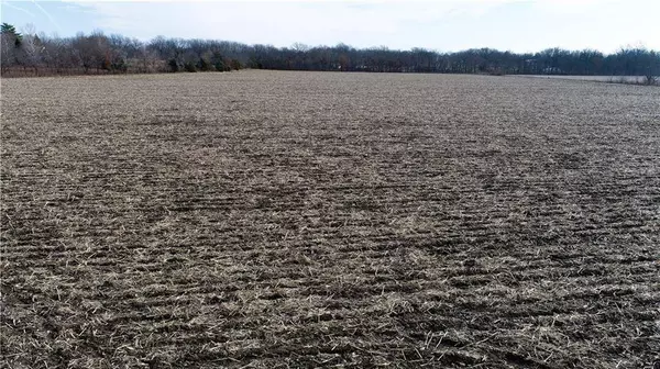 Halls RD, Kearney, MO 64060