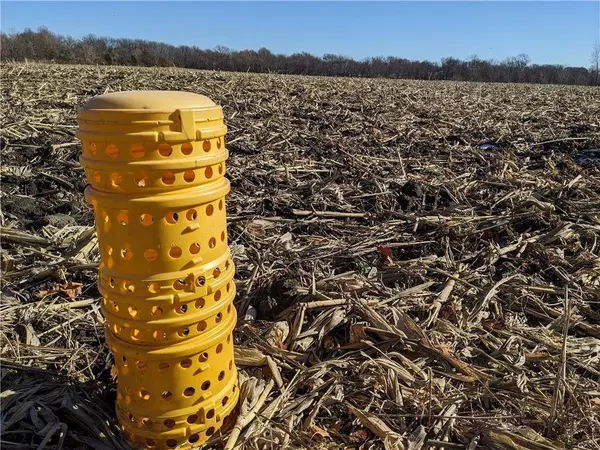 Halls RD, Kearney, MO 64060