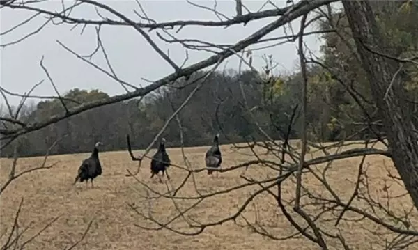 Halls RD, Kearney, MO 64060