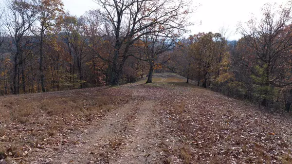 11 Brazier Lane, Gallatin, TN 37066