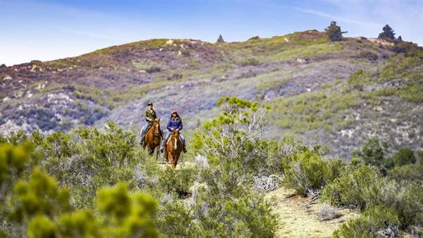 36750 Upper Valley RD, Anza, CA 92539