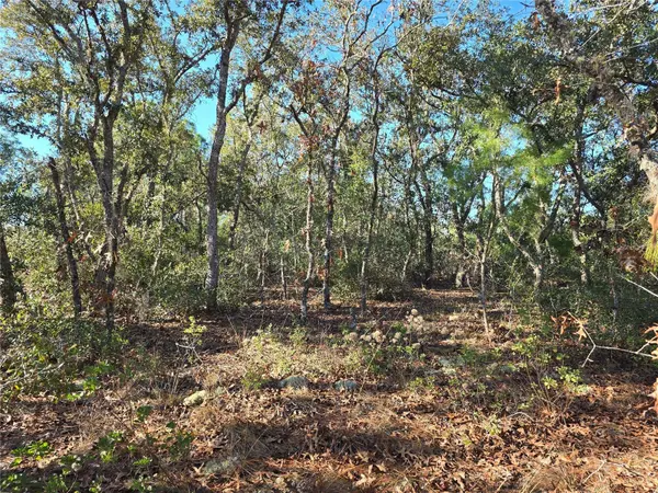 3489 W EUNICE DR, Dunnellon, FL 34433