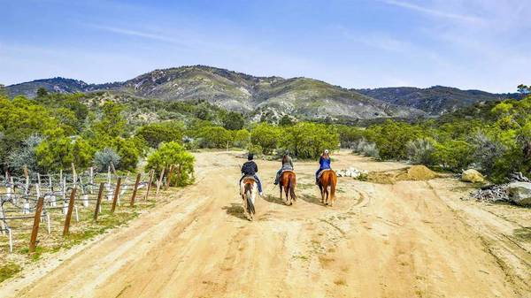 36750 Upper Valley RD, Anza, CA 92539