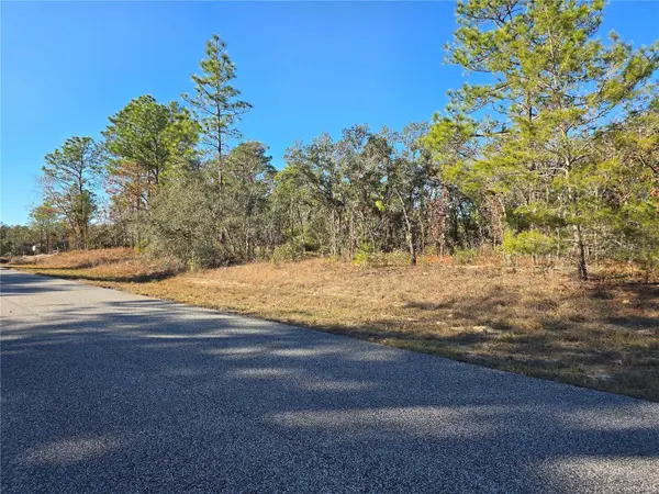 3489 W EUNICE DR, Dunnellon, FL 34433