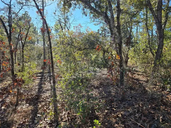 3489 W EUNICE DR, Dunnellon, FL 34433