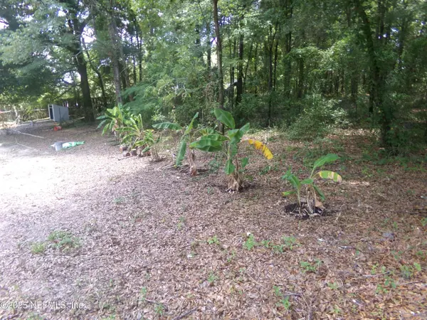 231 6TH WAY, Interlachen, FL 32148