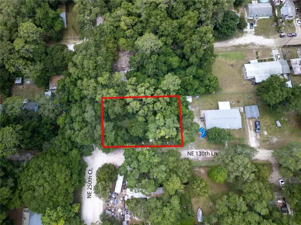 NE CORNER OF NE 130 LANE AND NE 250 COURT, Fort Mc Coy, FL 32134