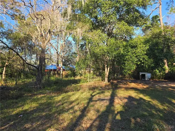 6911 W Sasser ST, Homosassa, FL 34446