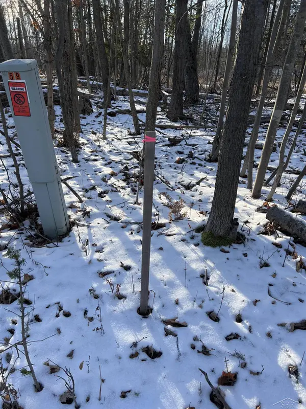 61 Rolling Hills Drive, West Branch, MI 48661