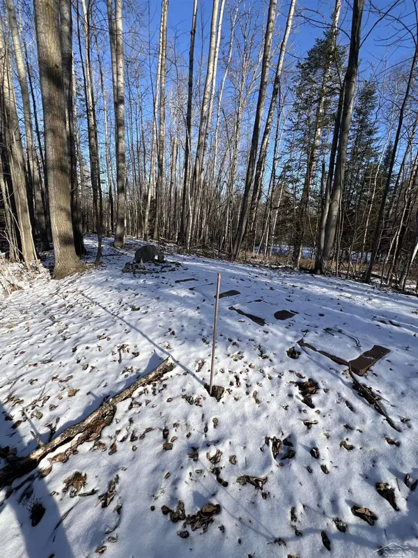 61 Rolling Hills Drive, West Branch, MI 48661