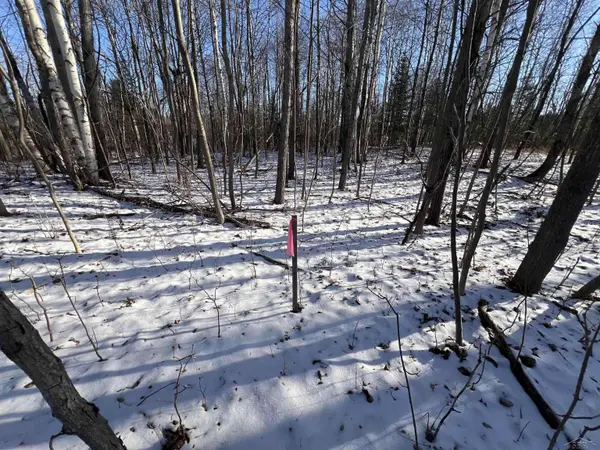 61 Rolling Hills Drive, West Branch, MI 48661