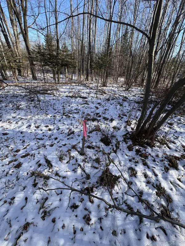 61 Rolling Hills Drive, West Branch, MI 48661