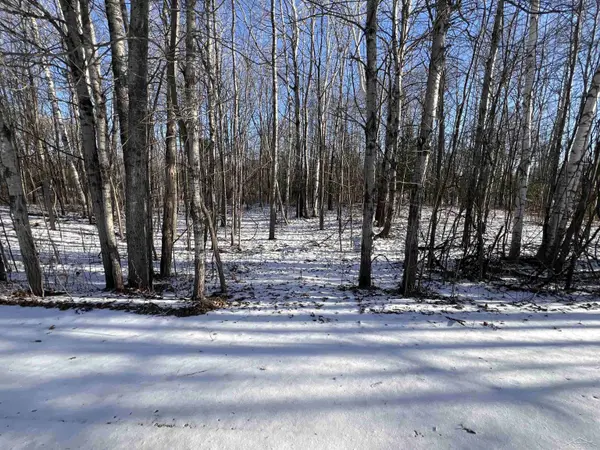 61 Rolling Hills Drive, West Branch, MI 48661