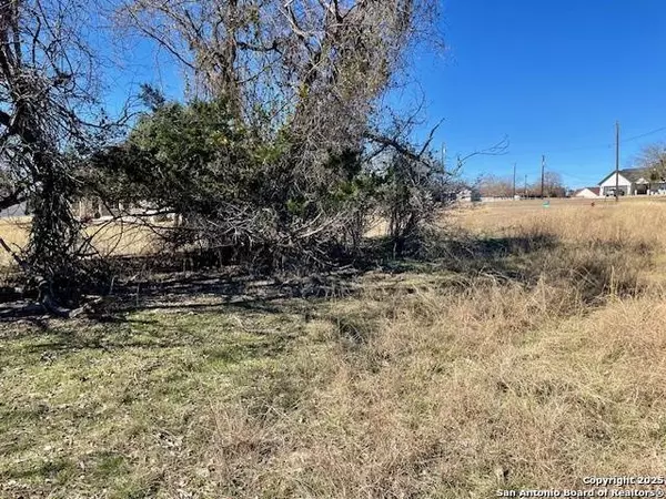 NA (LOT 20) Spring Creek, Bandera, TX 78003